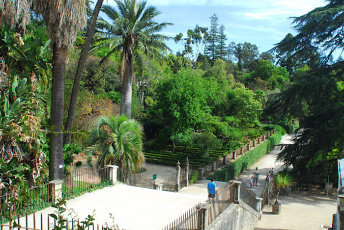 Paseo por el jardín botánico de Coimbra